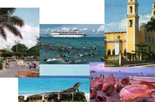 Cozumel Transportation