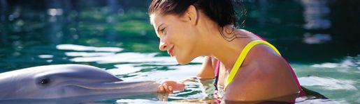 This is a combination of Mayan history at Tulum, the only archeological zone in the area overlooking the ocean, and the natural beauty of Xel-ha, a natural aquarium which is ideal for snorkeling